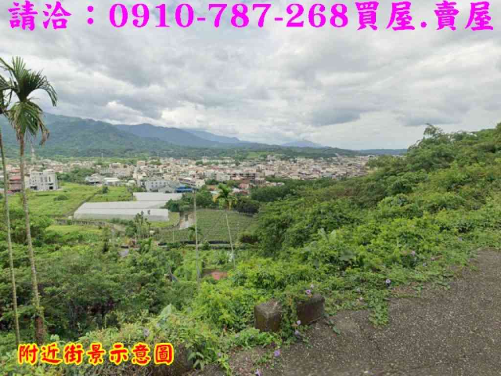 近竹山市區低總價一般農地視意圖
