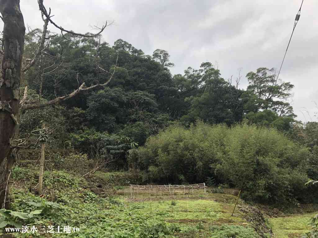 大水堀土地視意圖